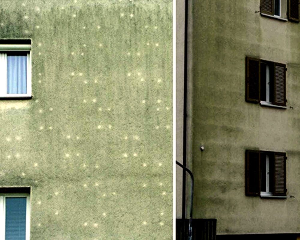 Algenbefallene Fassade